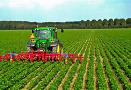 Coast to Coast Agricultural Business and Farm Limited